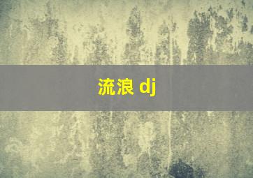 流浪 dj